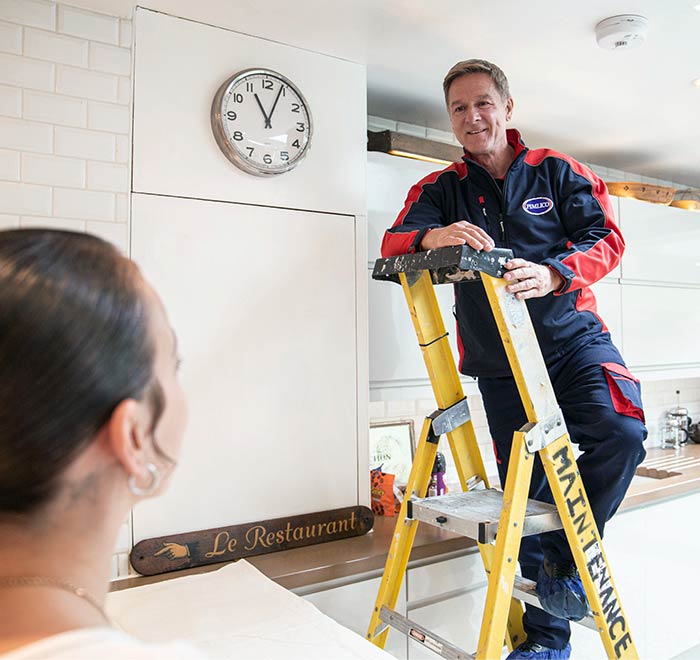 Pimlico electrician on ladders