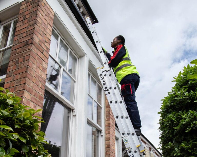 Pimlico roofer doing gutting repairs