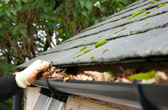 Blocked gutters