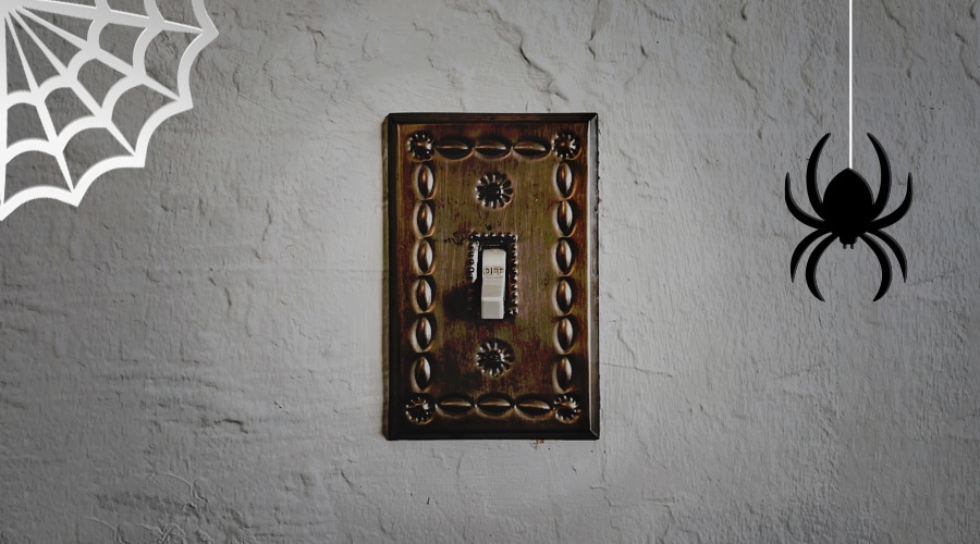 A spider hangs down in front of an old light switch