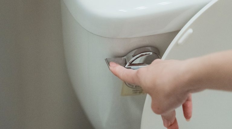 A customer tries to flush their broken toilet