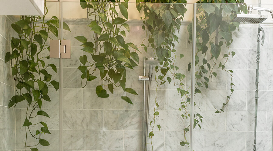 Tranquil tropical plants in bathroom design trend