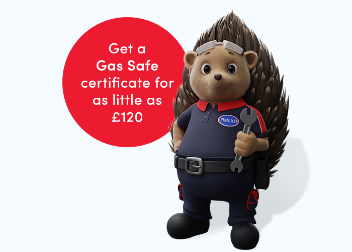 Gas safe certificate