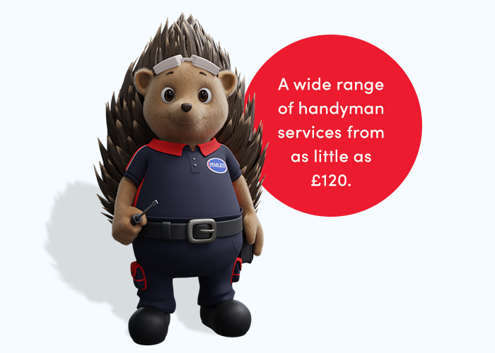 Handyman services