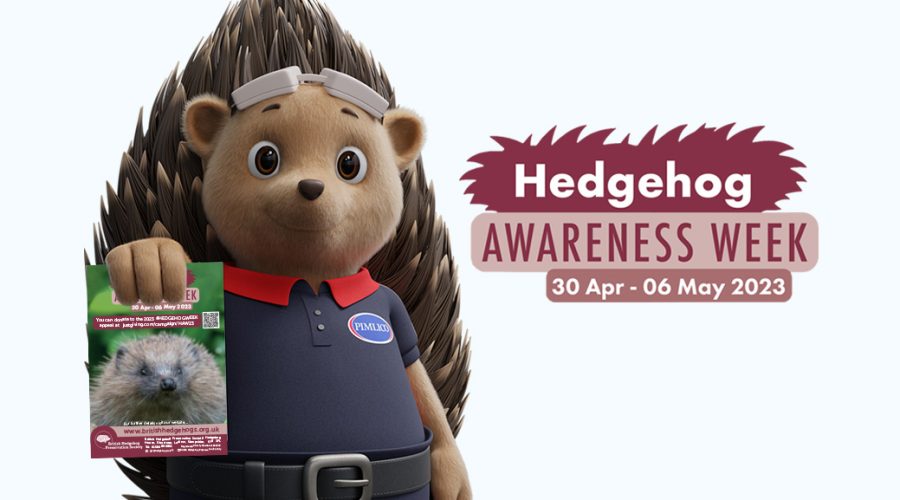 Hedgehog awareness week, 30th April – 6th May