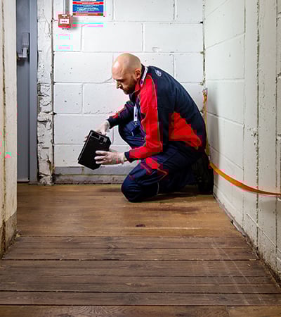 Pimlico pest control technician laying a rat trap