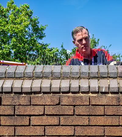 Pimlico pest control technician installing bird spikes