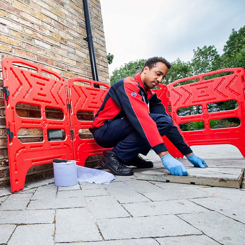 Pimlico drainage engineer