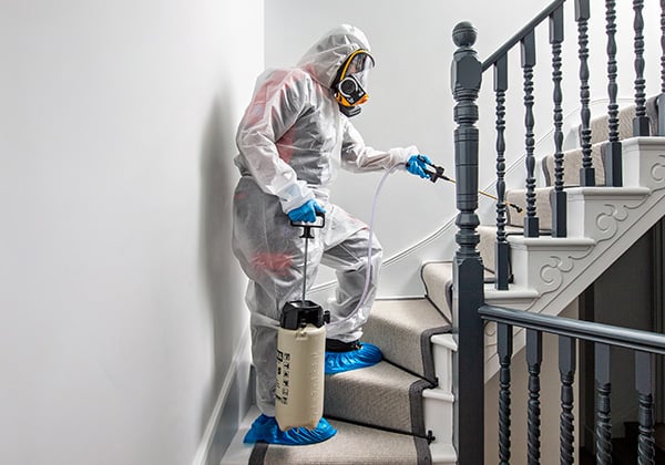 Pest-control-45-years