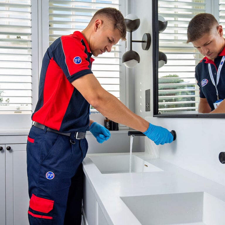 Pimlico plumber