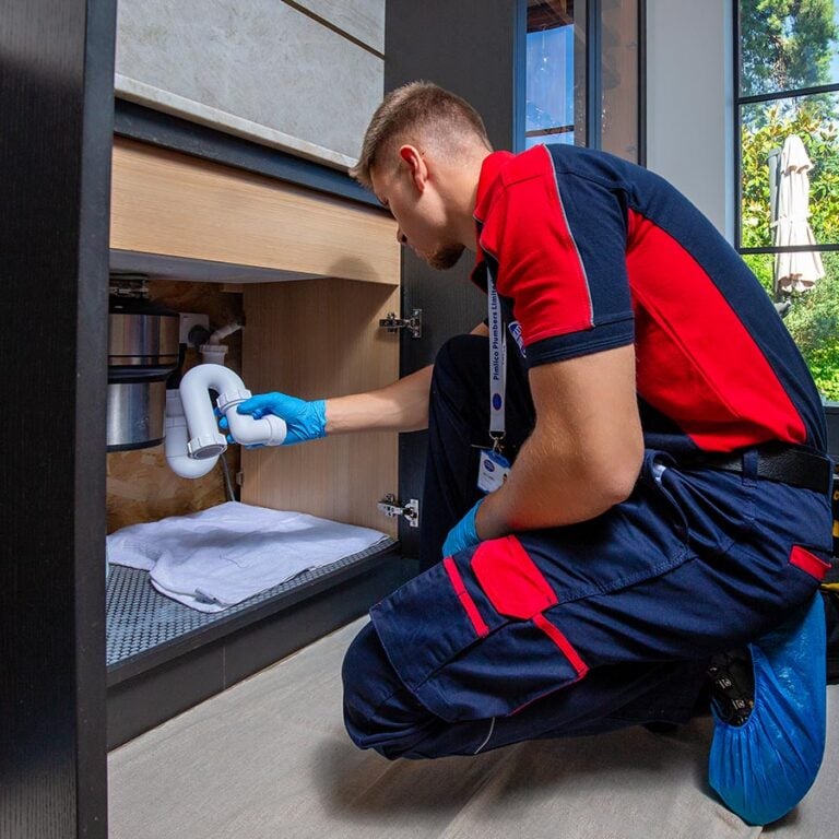 Pimlico plumber