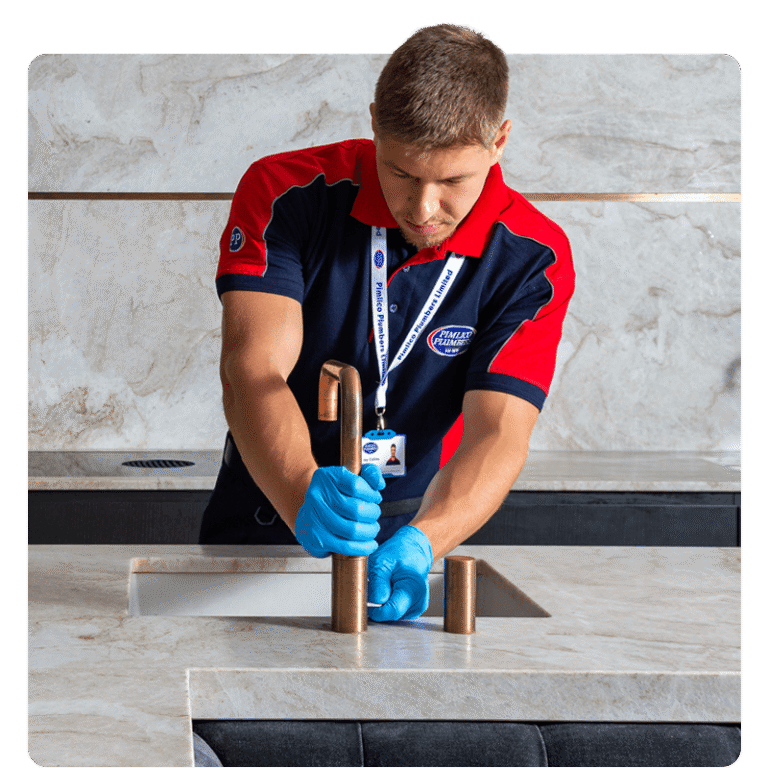Pimlico plumber