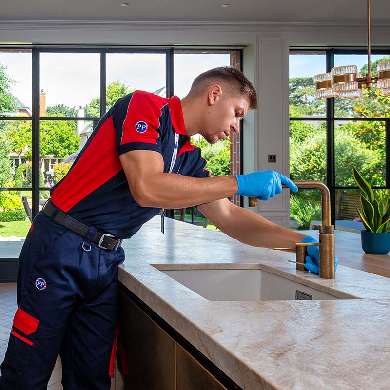 Pimlico plumber