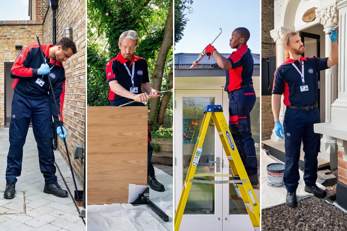 Pimlico drainage, carpentry, pest control and building