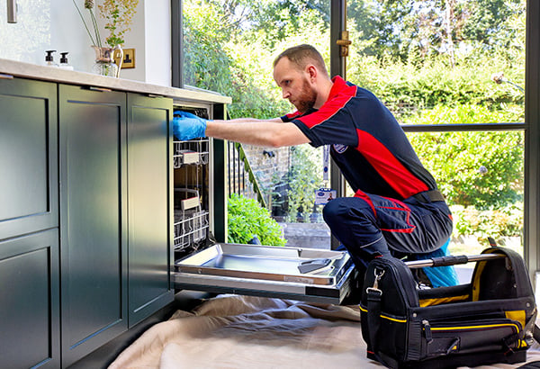 Pimlico appliance engineer
