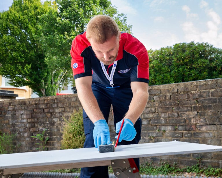 Pimlico plasterer