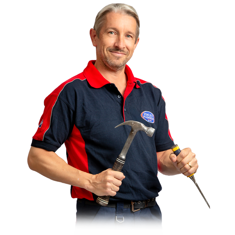 Pimlico Carpenter