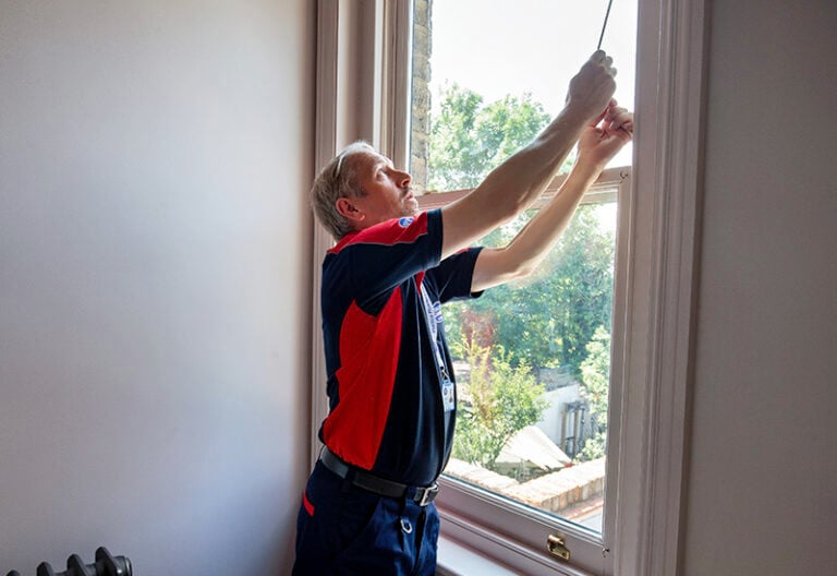 Pimlico carpenter