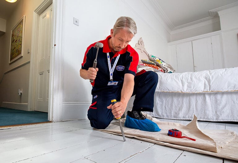 Pimlico carpenter