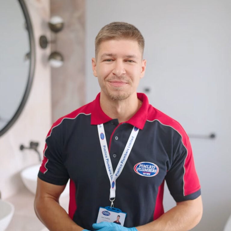 Pimlico plumber