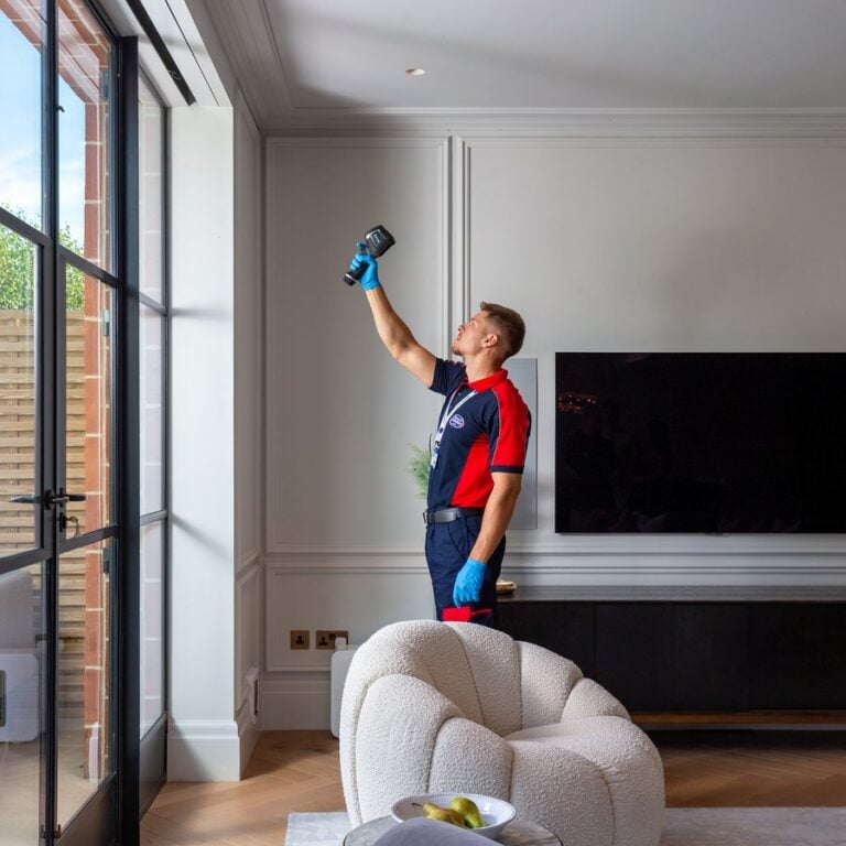 A plumber scans the around a window, wall and ceiling to detect for damp