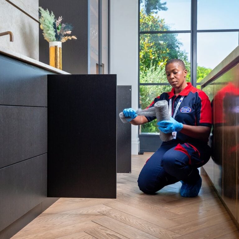 Rodent inspection and treatment