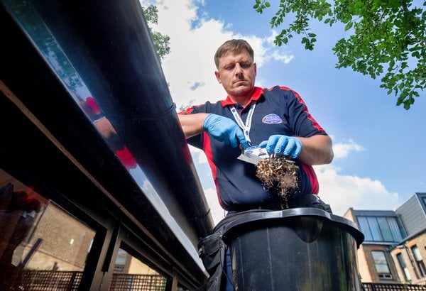 guttering and fascias services