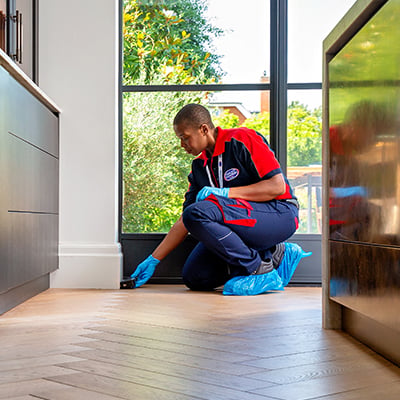 Pimlico pest control technician