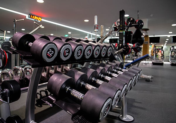Pimlico gym