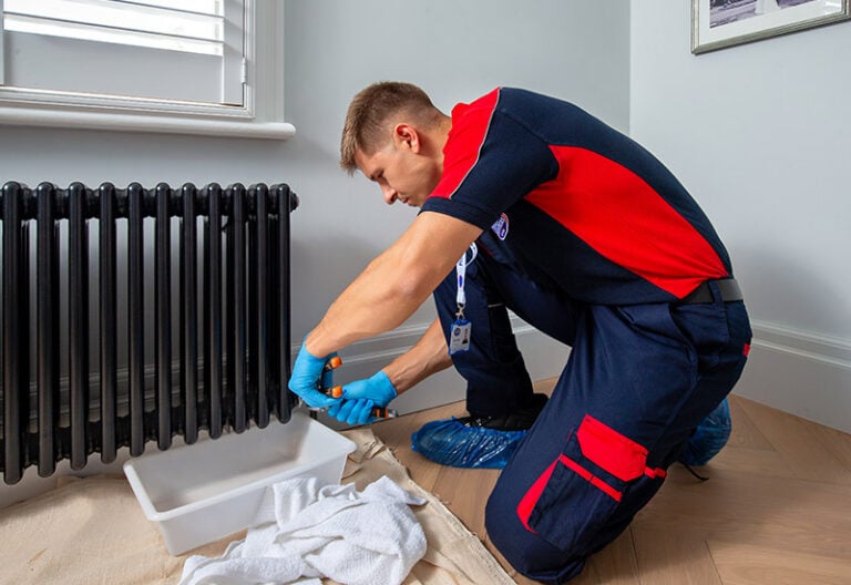 Pimlico plumber