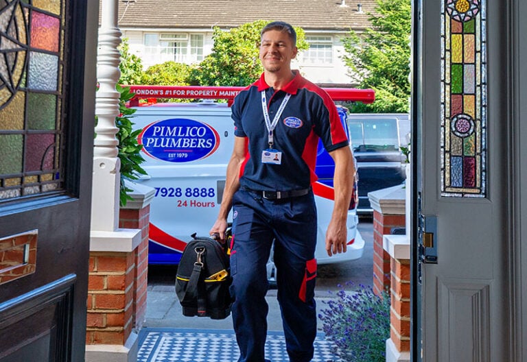 Pimlico plumber