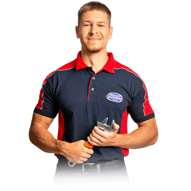 Pimlico plumber