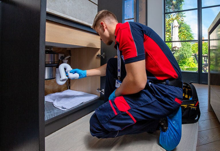 Pimlico plumber