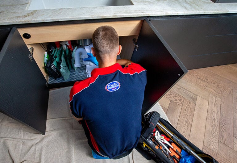 Pimlico Plumber