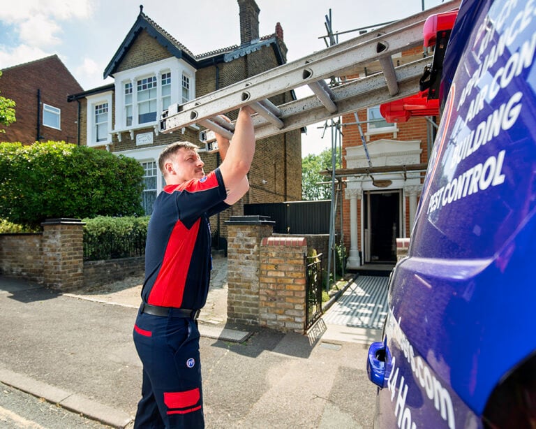 Pimlico roofer