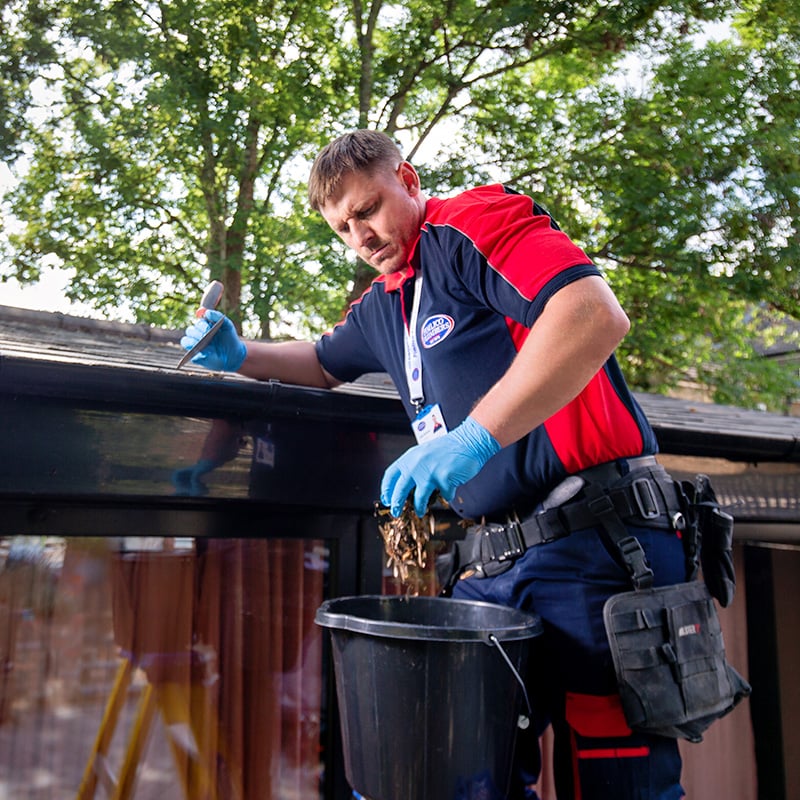 Pimlico roofer