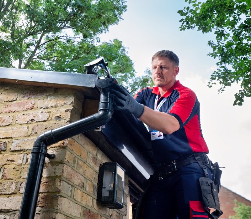 gutter cleaning