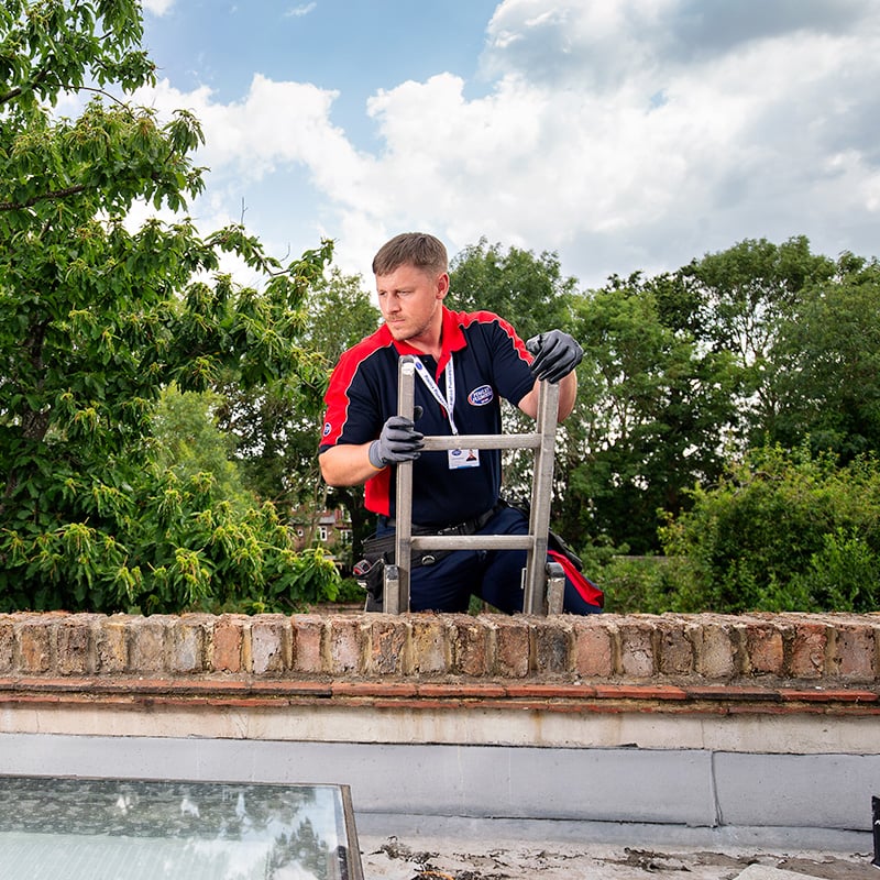 Pimlico roofer