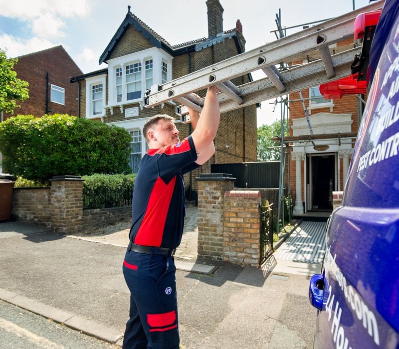 roofing specialist