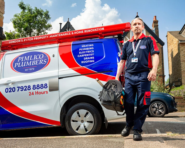 pimlico carpenter