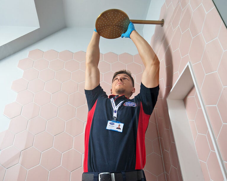 Pimlico plumber